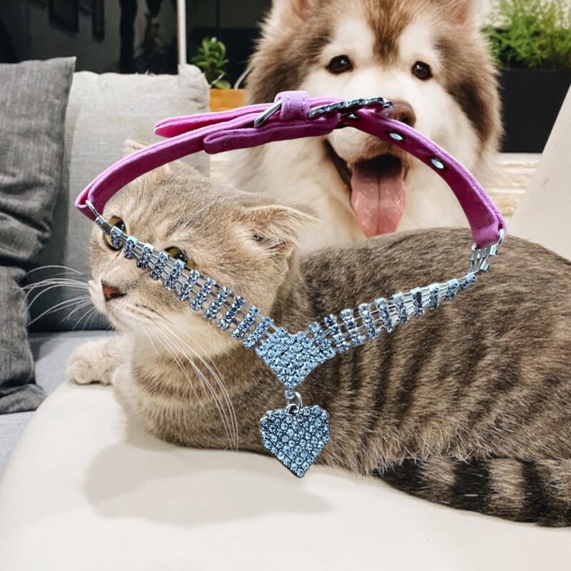 Collar