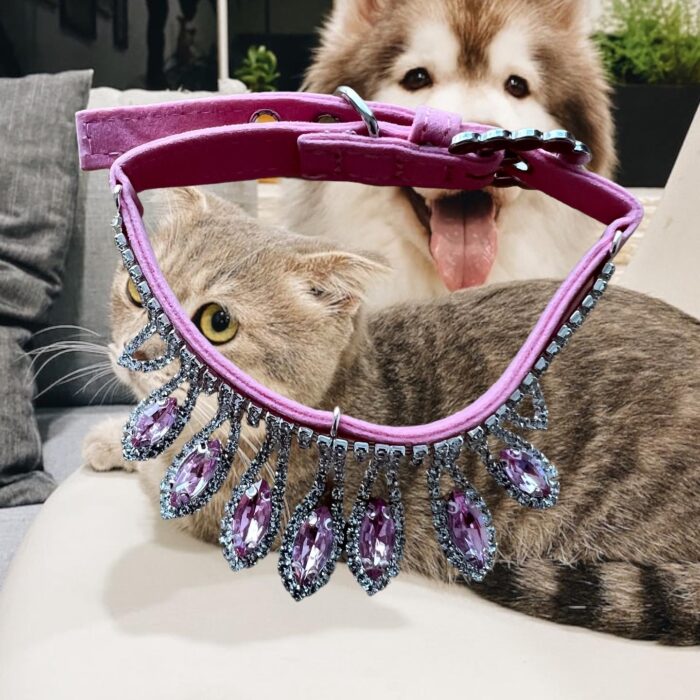 Collar