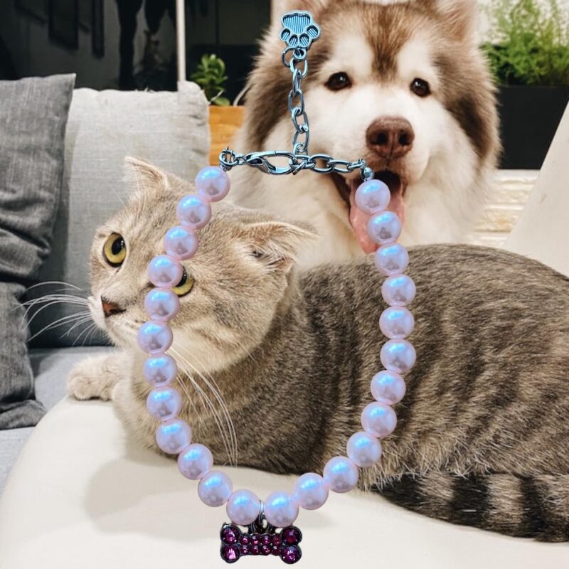 Collar