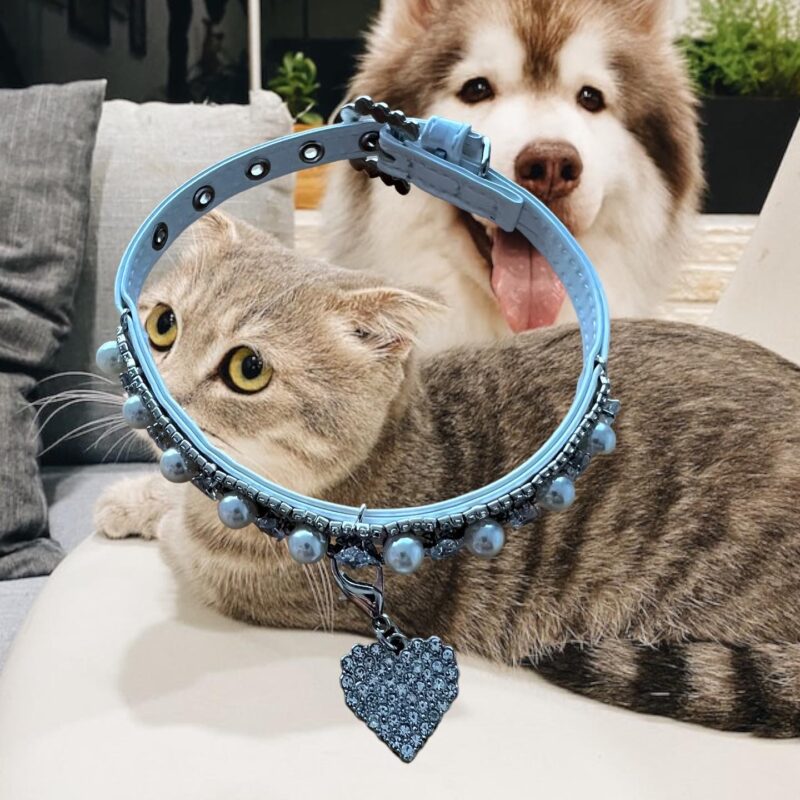 Collar