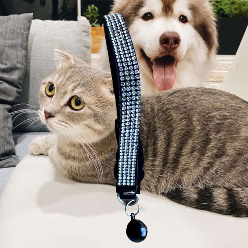 Collar