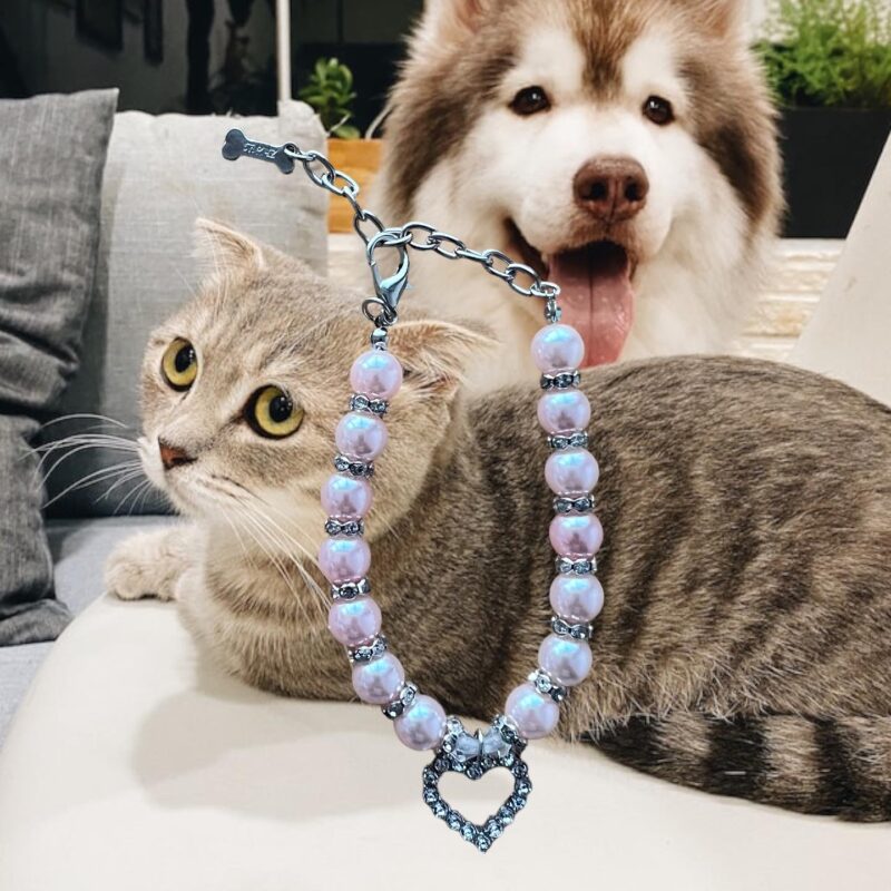 Collar