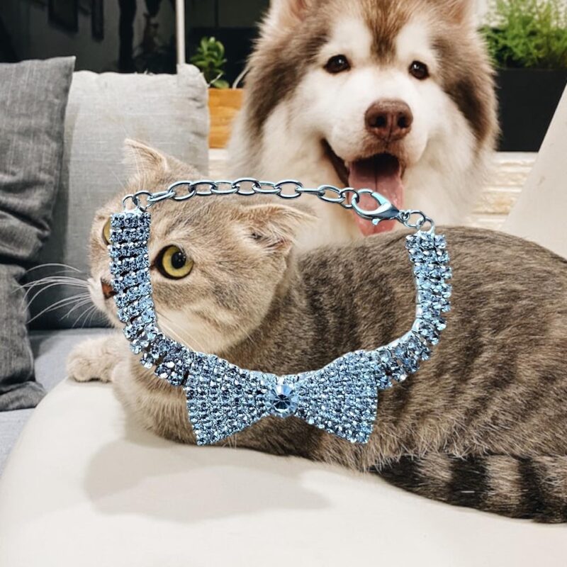 Collar