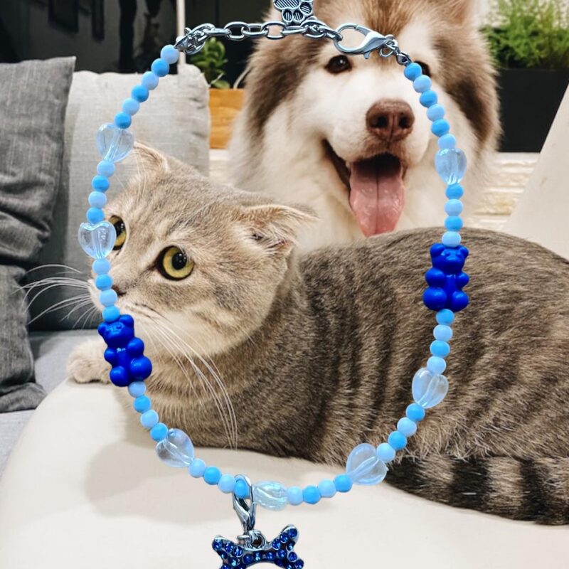 Collar