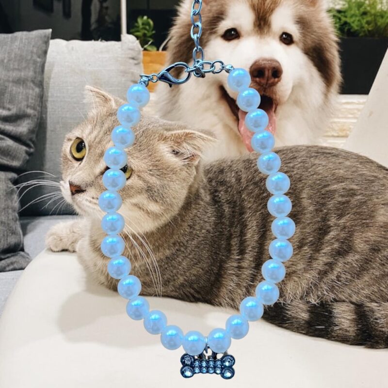 Collar