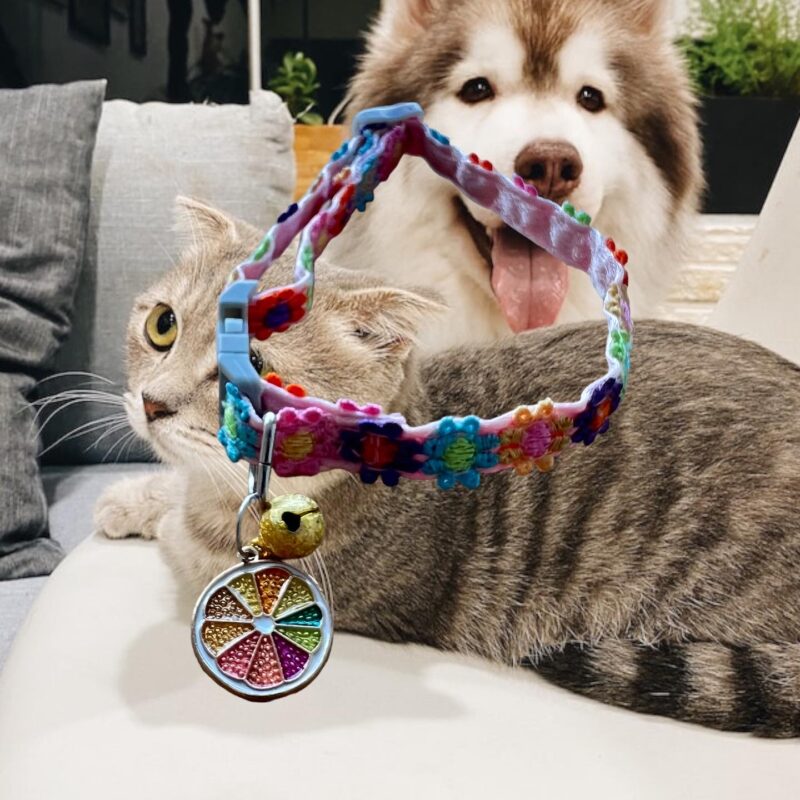 Collar