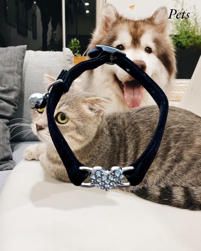 Collar