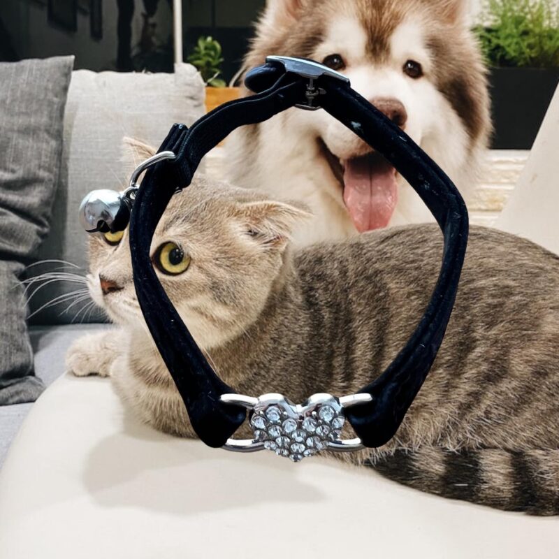 Collar