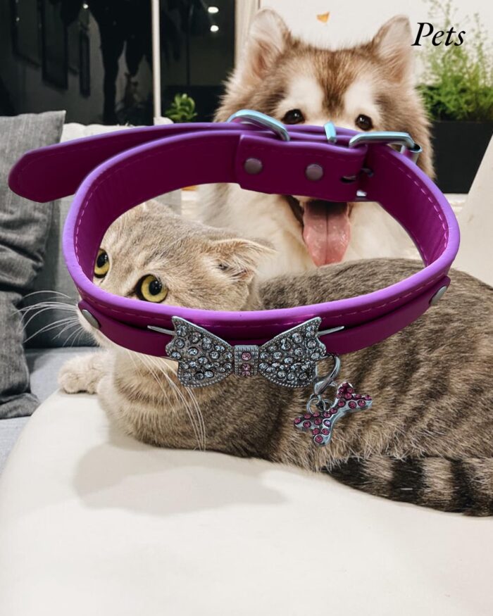 Collar