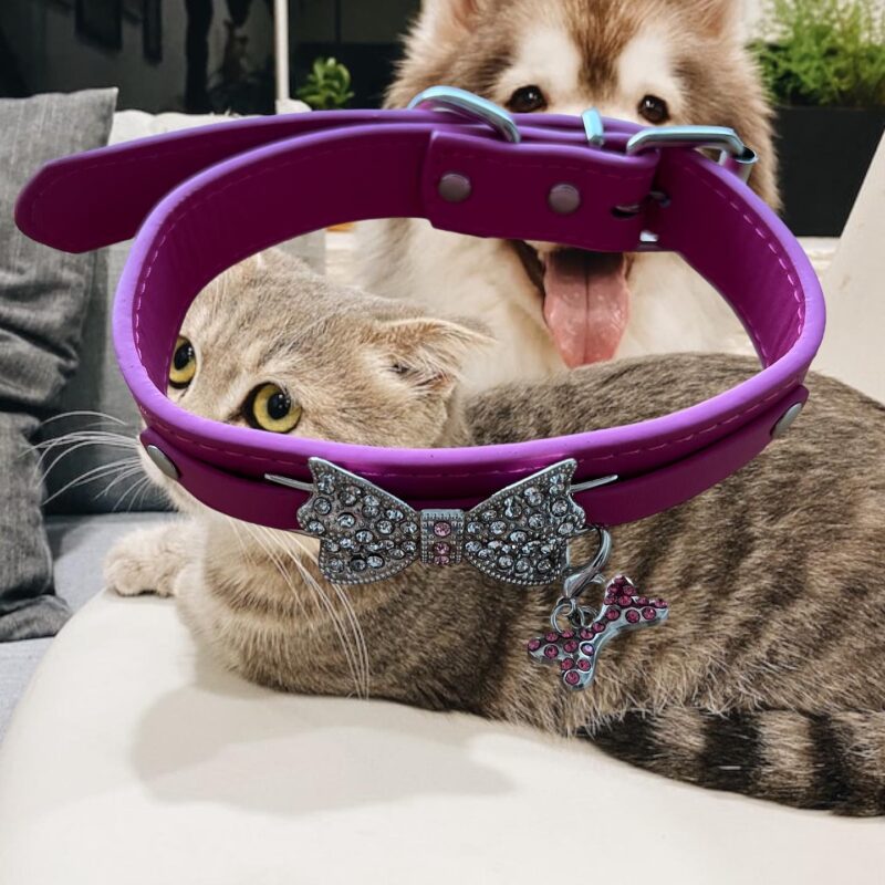 Collar