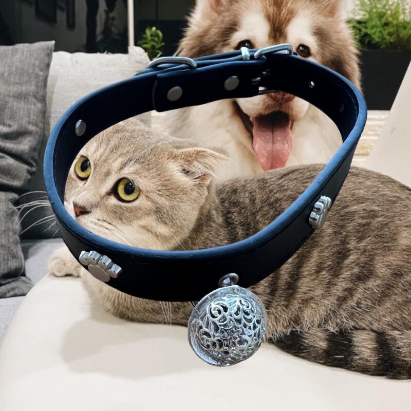 Collar