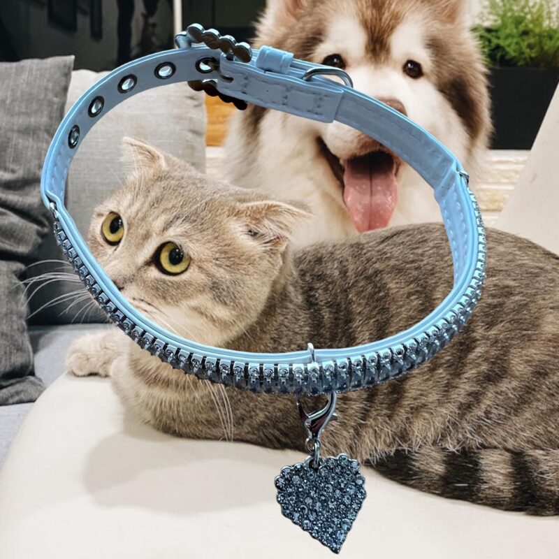 Collar