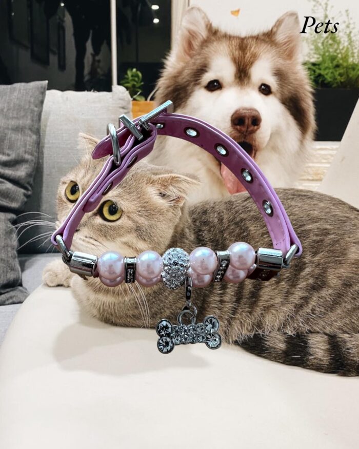 Collar
