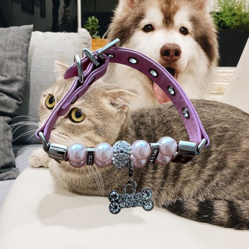 Collar