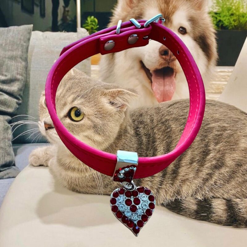 Collar